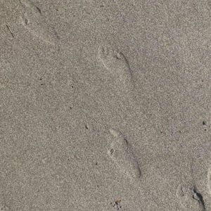 Meet your Posher, Loretta